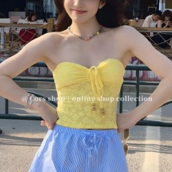 New bikini swimwear women's hot spring swimsuit high-end sexy push-up small breasts pure desire bikini